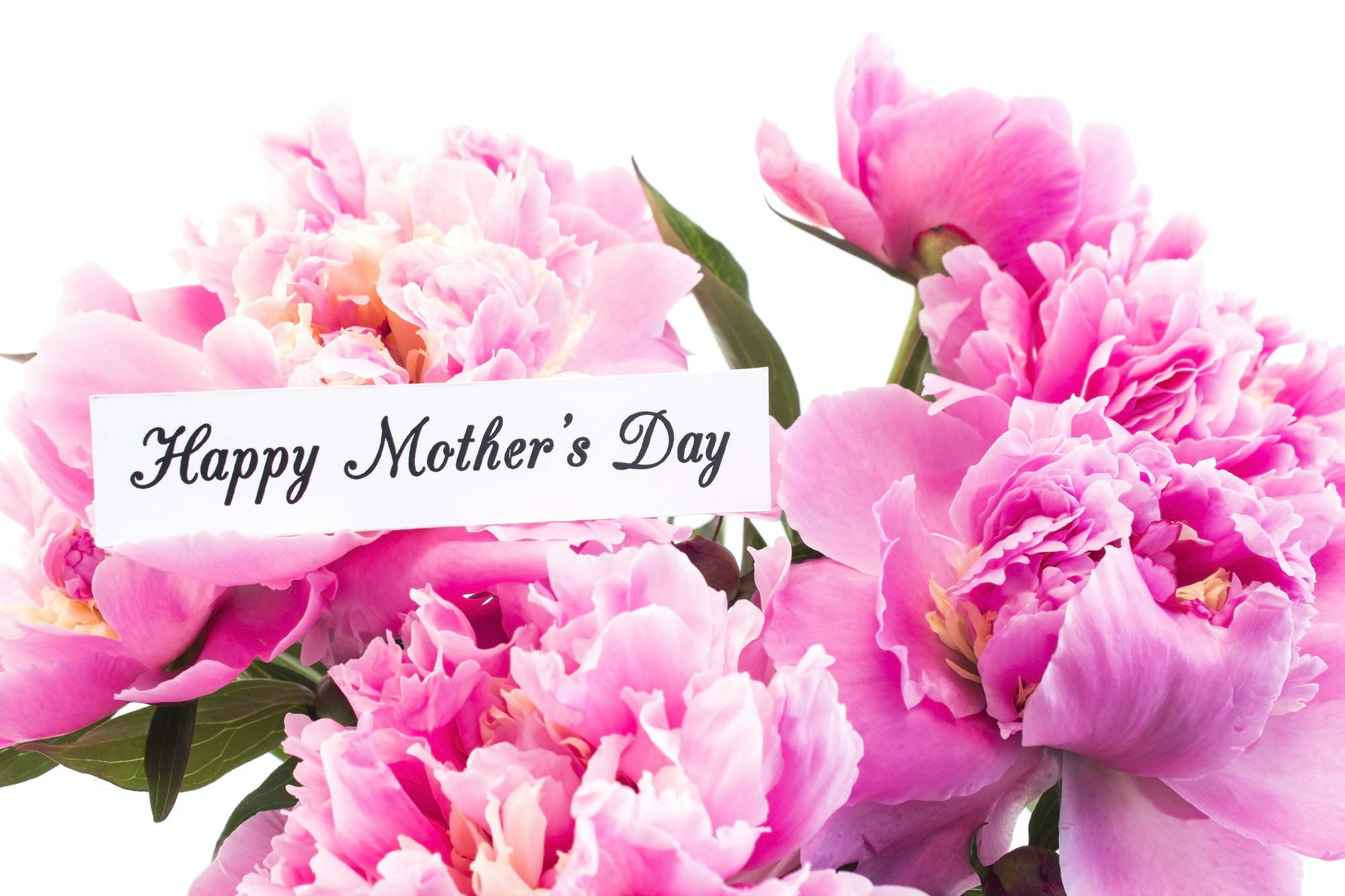 Happy mother's day, greeting card, with pink peonies