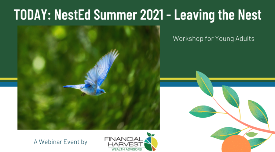 Today: nested summer 2021 - leaving the nest