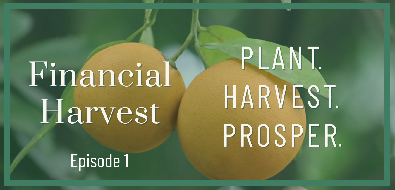Welcome to the first plant. Harvest. Prosper. Podcast