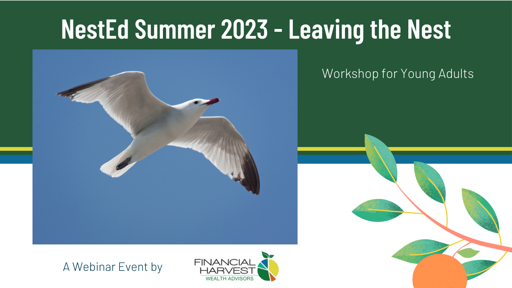 Tomorrow: nested summer 2023 - leaving the nest